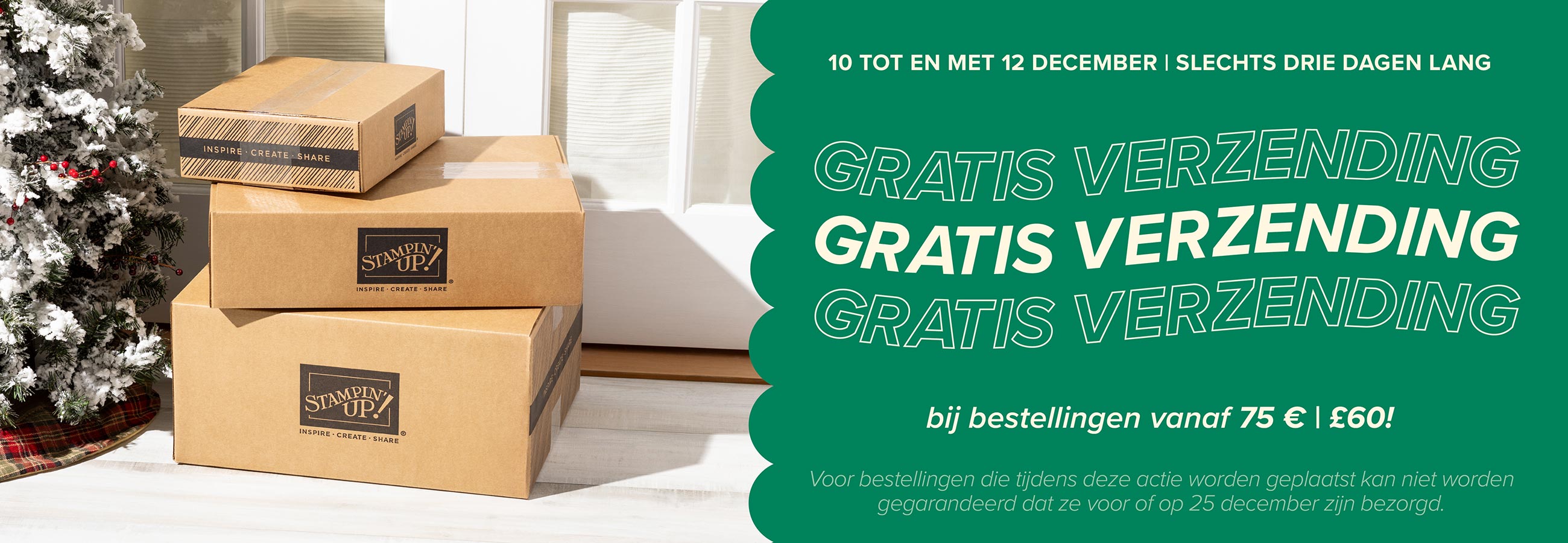 Dbws hmpg wnew nl nl 1225 free shipping